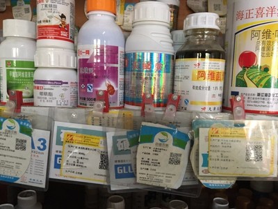 如何拿下10億元海南芒果農(nóng)資大市場(chǎng)？聚焦農(nóng)作物種子經(jīng)營(yíng)策略