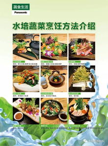 水培蔬菜面市，無(wú)農(nóng)藥無(wú)污染贏(yíng)得用戶(hù)贊譽(yù)